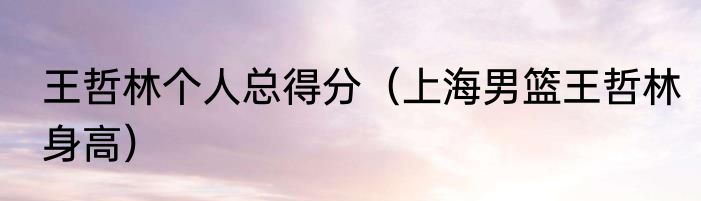 王哲林个人总得分（上海男篮王哲林身高）