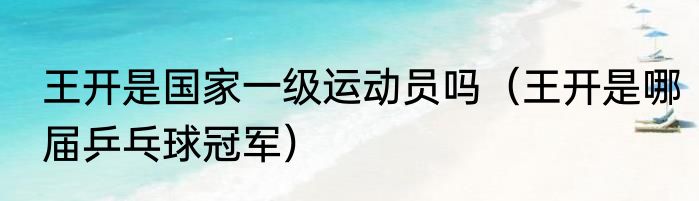 王开是国家一级运动员吗（王开是哪届乒乓球冠军）