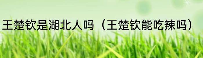 王楚钦是湖北人吗（王楚钦能吃辣吗）