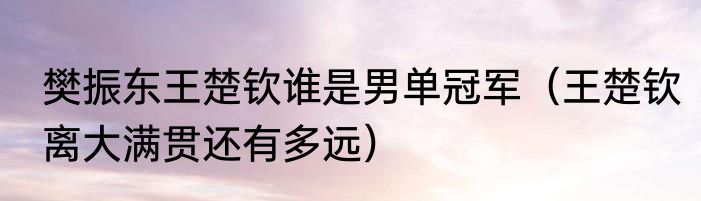 樊振东王楚钦谁是男单冠军（王楚钦离大满贯还有多远）