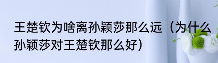 王楚钦为啥离孙颖莎那么远（为什么孙颖莎对王楚钦那么好）