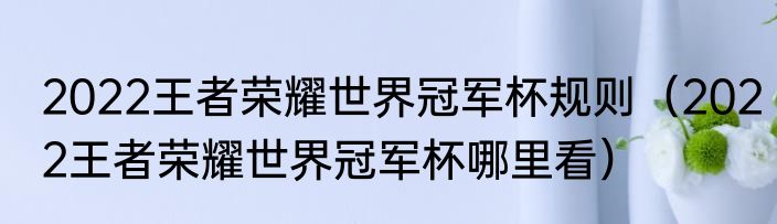 2022王者荣耀世界冠军杯规则（2022王者荣耀世界冠军杯哪里看）