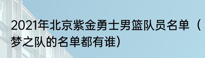 2021年北京紫金勇士男篮队员名单（梦之队的名单都有谁）
