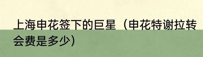 上海申花签下的巨星（申花特谢拉转会费是多少）