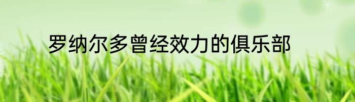 罗纳尔多曾经效力的俱乐部