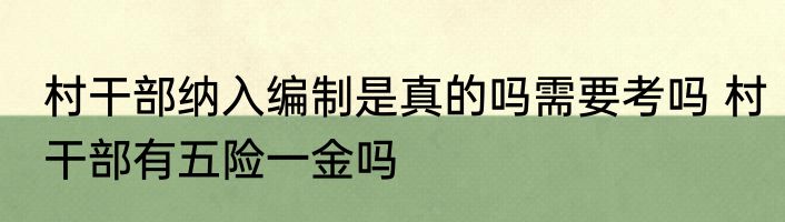 村干部纳入编制是真的吗需要考吗 村干部有五险一金吗