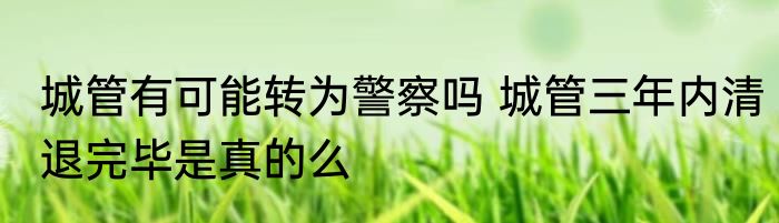 城管有可能转为警察吗 城管三年内清退完毕是真的么