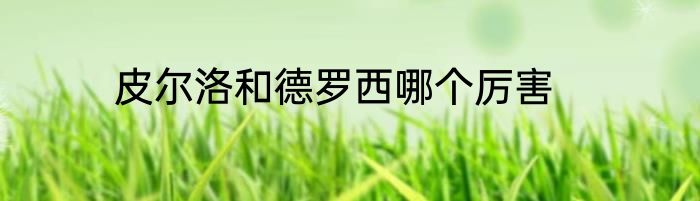 皮尔洛和德罗西哪个厉害