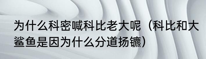 为什么科密喊科比老大呢（科比和大鲨鱼是因为什么分道扬镳）