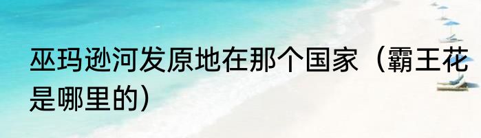 巫玛逊河发原地在那个国家（霸王花是哪里的）