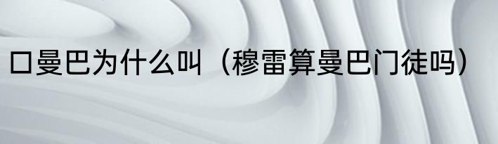 口曼巴为什么叫（穆雷算曼巴门徒吗）