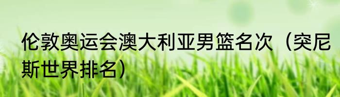 伦敦奥运会澳大利亚男篮名次（突尼斯世界排名）