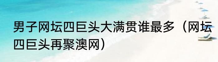 男子网坛四巨头大满贯谁最多（网坛四巨头再聚澳网）
