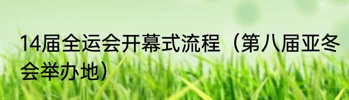 14届全运会开幕式流程（第八届亚冬会举办地）