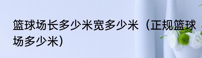 篮球场长多少米宽多少米（正规篮球场多少米）