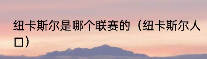 纽卡斯尔是哪个联赛的（纽卡斯尔人口）