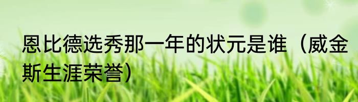 恩比德选秀那一年的状元是谁（威金斯生涯荣誉）