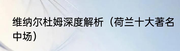 维纳尔杜姆深度解析（荷兰十大著名中场）