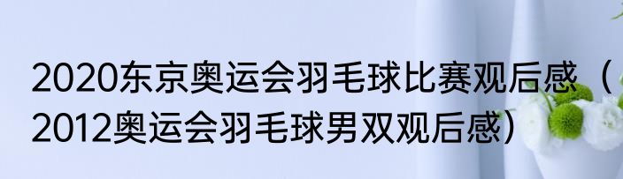 2020东京奥运会羽毛球比赛观后感（2012奥运会羽毛球男双观后感）
