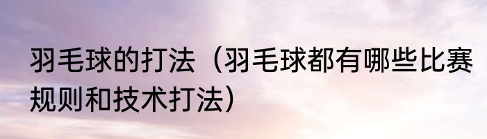 羽毛球的打法（羽毛球都有哪些比赛规则和技术打法）