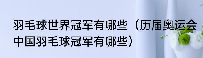 羽毛球世界冠军有哪些（历届奥运会中国羽毛球冠军有哪些）