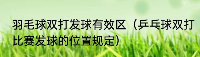 羽毛球双打发球有效区（乒乓球双打比赛发球的位置规定）