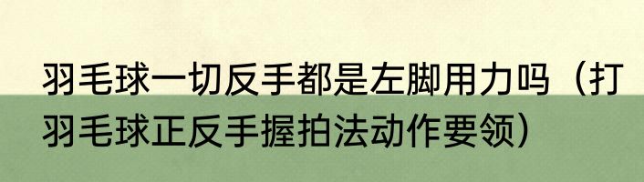 羽毛球一切反手都是左脚用力吗（打羽毛球正反手握拍法动作要领）