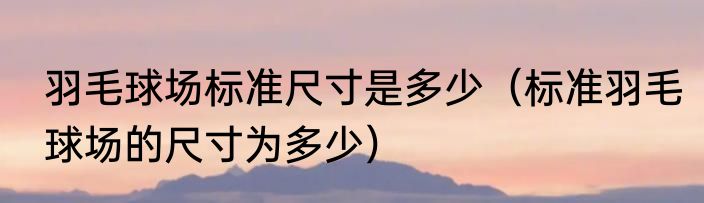 羽毛球场标准尺寸是多少（标准羽毛球场的尺寸为多少）
