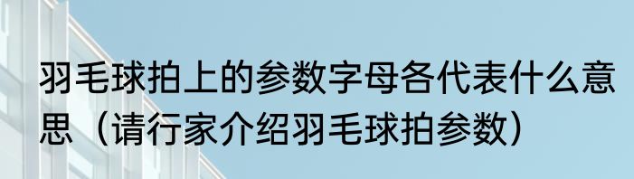 羽毛球拍上的参数字母各代表什么意思（请行家介绍羽毛球拍参数）