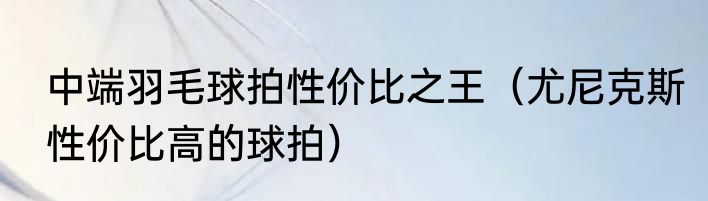 中端羽毛球拍性价比之王（尤尼克斯性价比高的球拍）