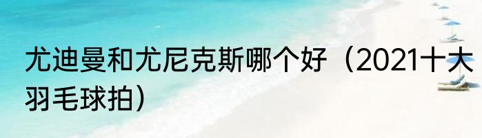 尤迪曼和尤尼克斯哪个好（2021十大羽毛球拍）