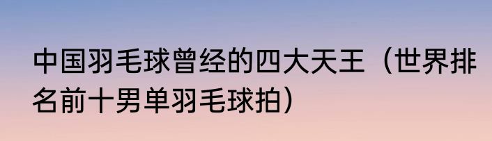 中国羽毛球曾经的四大天王（世界排名前十男单羽毛球拍）