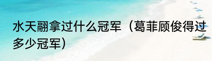 水天翮拿过什么冠军（葛菲顾俊得过多少冠军）