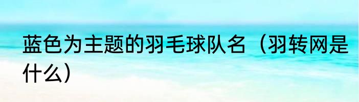 蓝色为主题的羽毛球队名（羽转网是什么）