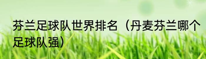 芬兰足球队世界排名（丹麦芬兰哪个足球队强）