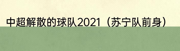 中超解散的球队2021（苏宁队前身）