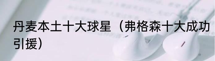 丹麦本土十大球星（弗格森十大成功引援）