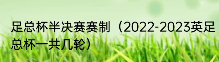 足总杯半决赛赛制（2022-2023英足总杯一共几轮）