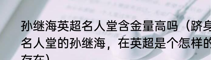 孙继海英超名人堂含金量高吗（跻身名人堂的孙继海，在英超是个怎样的存在）