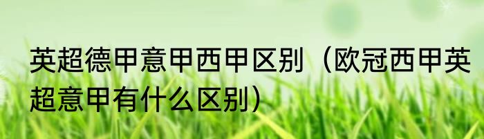 英超德甲意甲西甲区别（欧冠西甲英超意甲有什么区别）