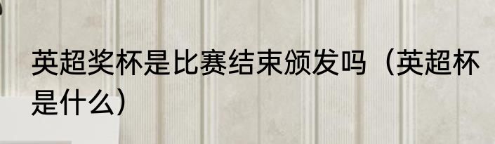 英超奖杯是比赛结束颁发吗（英超杯是什么）
