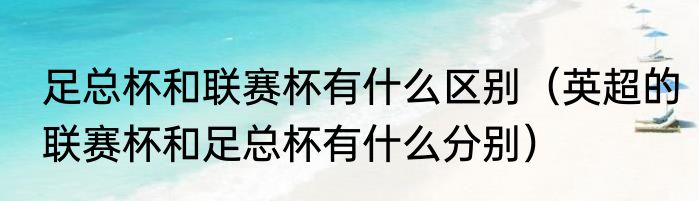 足总杯和联赛杯有什么区别（英超的联赛杯和足总杯有什么分别）