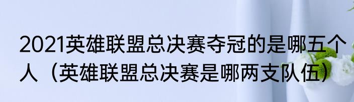 2021英雄联盟总决赛夺冠的是哪五个人（英雄联盟总决赛是哪两支队伍）