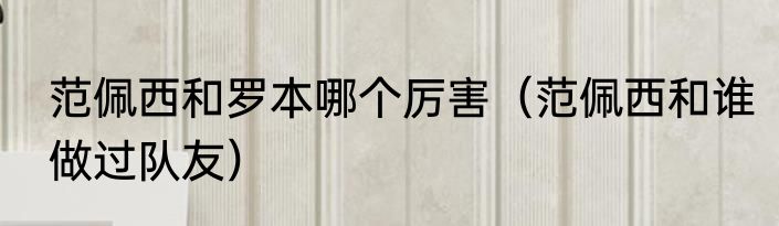 范佩西和罗本哪个厉害（范佩西和谁做过队友）