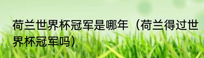 荷兰世界杯冠军是哪年（荷兰得过世界杯冠军吗）