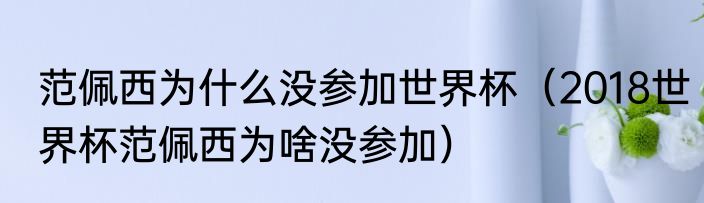 范佩西为什么没参加世界杯（2018世界杯范佩西为啥没参加）