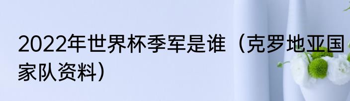 2022年世界杯季军是谁（克罗地亚国家队资料）