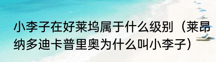 小李子在好莱坞属于什么级别（莱昂纳多迪卡普里奥为什么叫小李子）