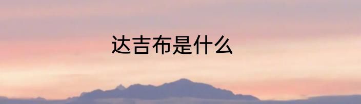 达吉布是什么