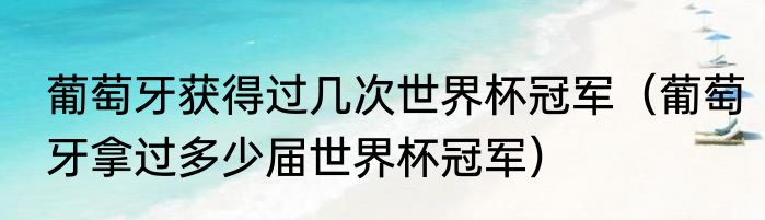 葡萄牙获得过几次世界杯冠军（葡萄牙拿过多少届世界杯冠军）